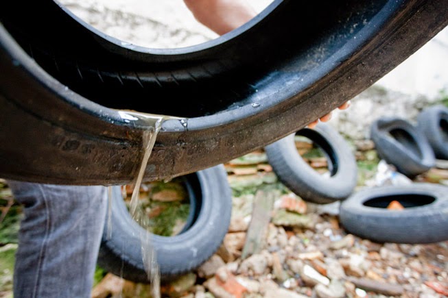 Cuidados simples contra a infestação do mosquito, como evitar água acumulada em pneus, estariam sendo esquecidos | Foto: ilustração