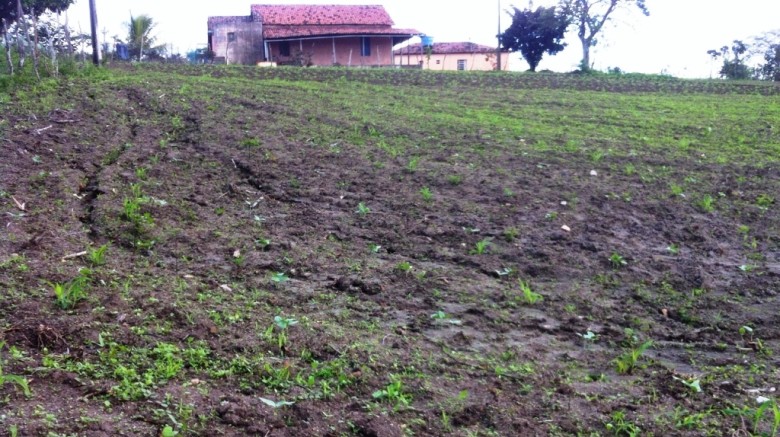 Agricultores são beneficiados com corte de terra | Foto: divulgação