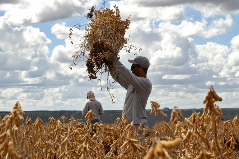 A alta do dólar alivia um pouco a queda no preço das commodities.