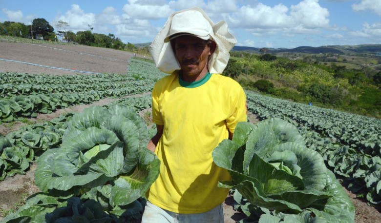 Foto: Divulgação/Imprensa Agricultura PE