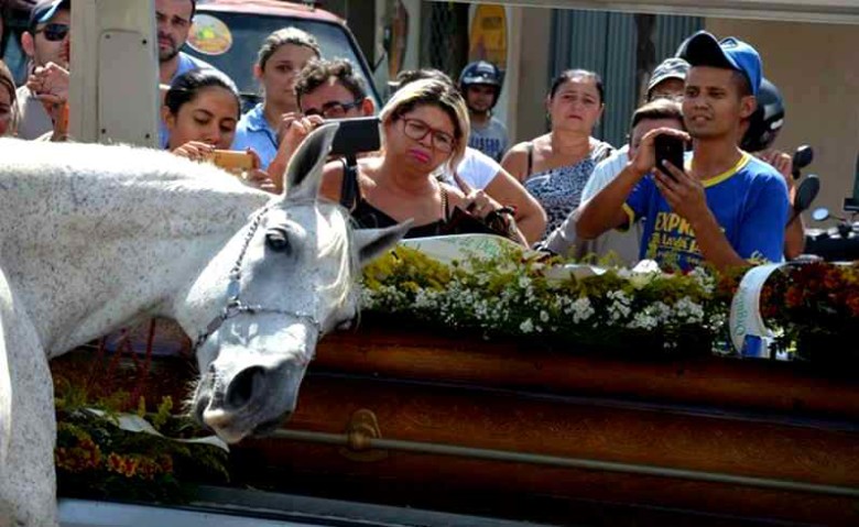 Foto: Divulgação/Curiosa Mente