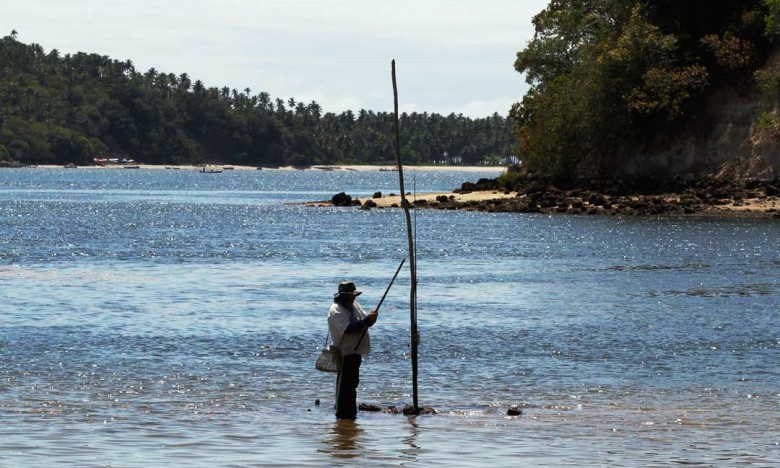 Foto: Diário de Pernambuco