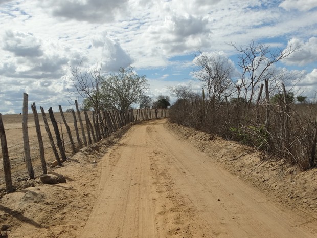 Estradas rurais de Surubim retratam situação da seca no Agreste pernambucano (Foto: Joalline Nascimento/G1) 